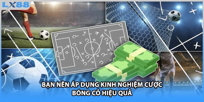 Bạn nên áp dụng kinh nghiệm cược bóng cỏ hiệu quả