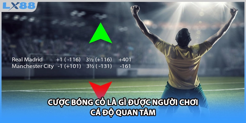 Cược bóng cỏ là gì được người chơi cá độ quan tâm