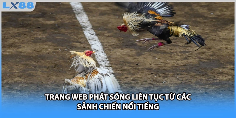 Trang web phát sóng liên tục từ các sảnh chiến nổi tiếng